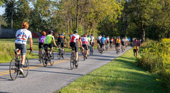 bikers on a path